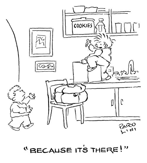 'Because it's there!'