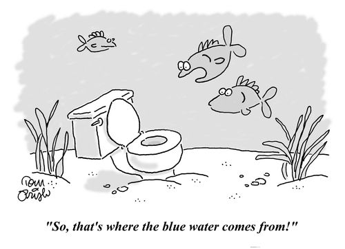 'So, that's where the blue water comes from!'