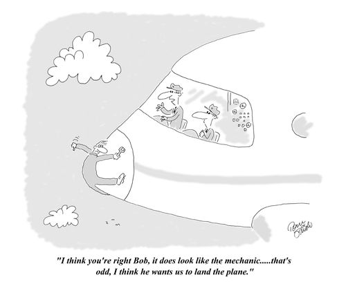 "I think you're right Bob, it does look like the mechanic.....that's odd, I think he wants us to land the plane."