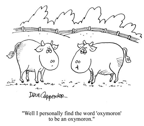 'Well I personally find the word 'oxymoron' to be an oxymoron.'