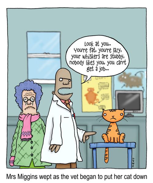 Mrs Miggins wept as the vet began to put her cat down - vet calling the cat names.