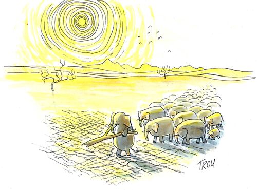 Elephants water divining/dowsing...