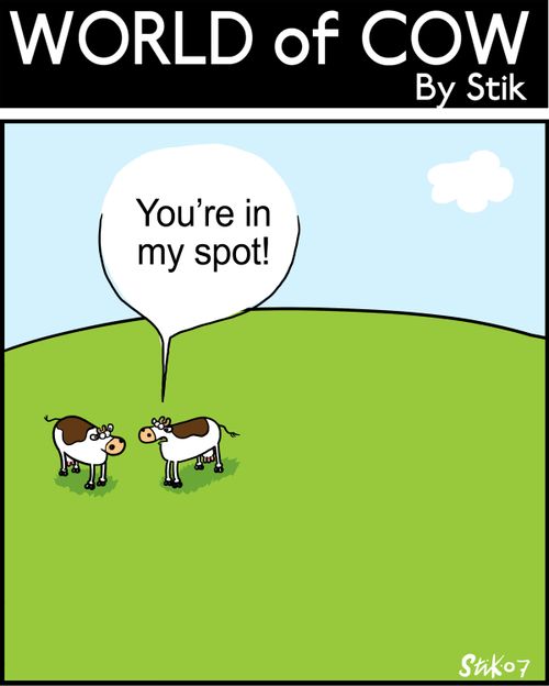 "You're in my spot!"