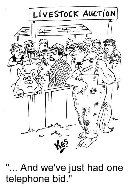 '... And we've just had one telephone bid.'