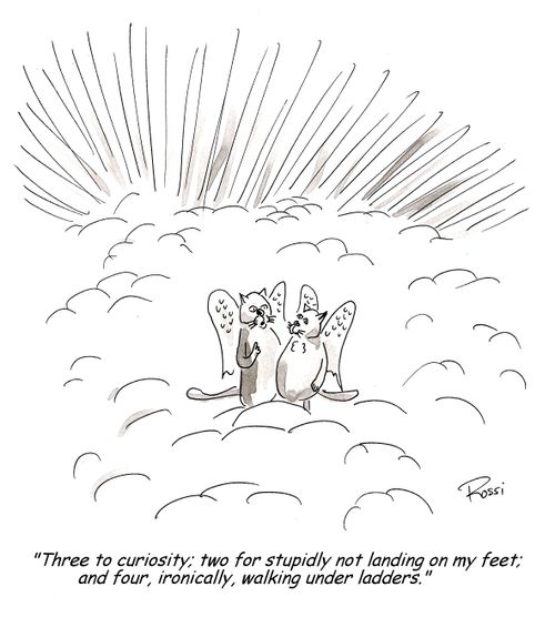 'Three to curiosity,two for stupidly not landing on my feet, and four, ironically, walking under ladders.'