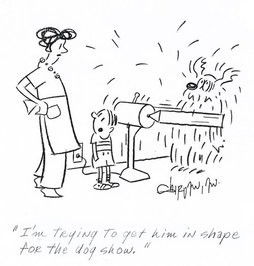 'I'm trying to get him in shape for the dog show.'