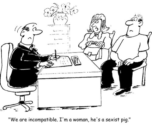 'We are incompatible. I'm a woman, he's a sexist pig.'