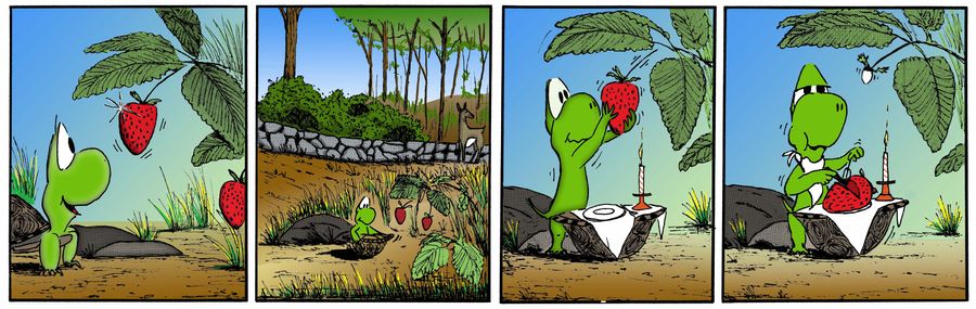 Iggy Turtle Strawberry Fields Color