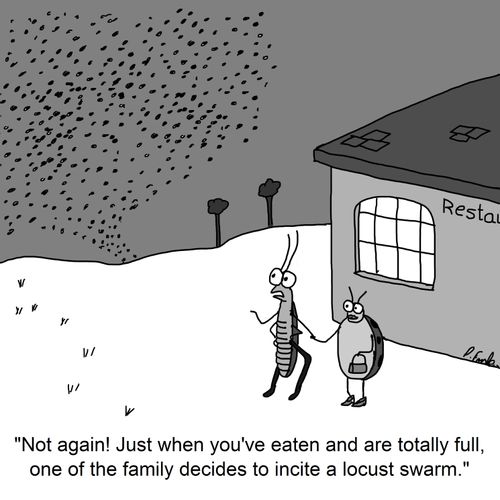 'Not again! Just when you've eaten and are totally full, one of the family decides to incite a locust swarm.'