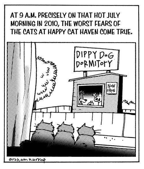 Happy Cat Haven.