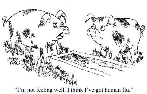 'I'm not feeling well. I think I've got human flu.'