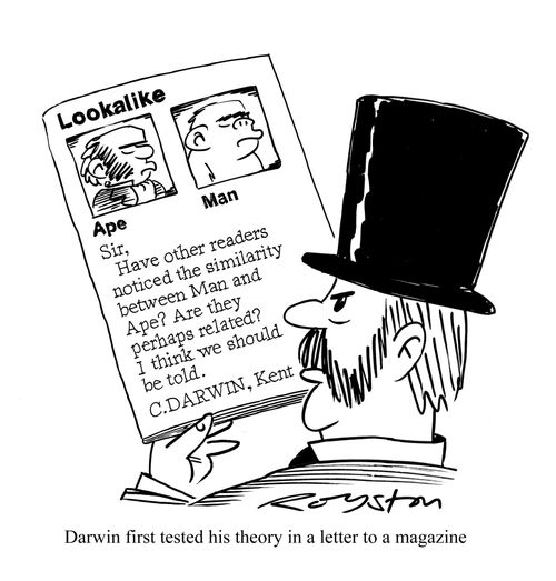 Darwin first tested his theory in a letter to a magazine ('Lookalike' letter points to similarity between man and ape.)