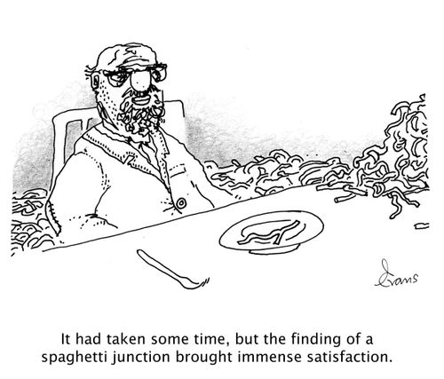 'It had taken some time, but the finding of a spaghetti junction brought immense satisfaction.'