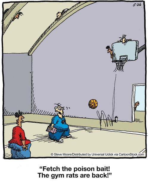 'Fetch the poison bait! The gym rats are back!'