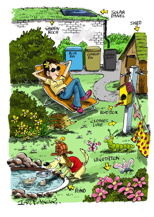 The Garden