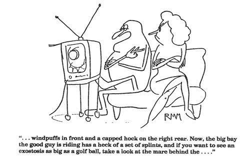 '...windpuffs in front and a capped hock on the right rear...'