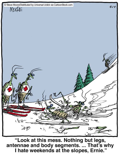 'Look at this mess. Nothing but legs, antennae and body segments. ... That's why I hate weekends at the slopes, Ernie.'