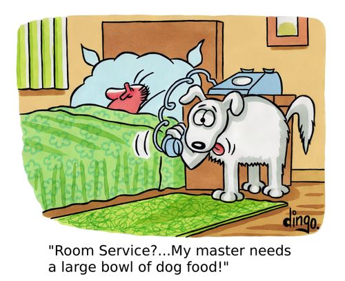 'Room Service?...My master needs a large bowl of dog food!'
