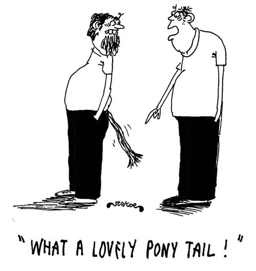 'What a lovely pony tail!'