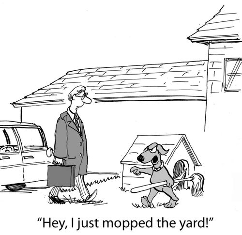 'Hey, I just mopped the yard.'