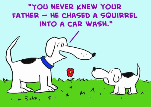 'You never knew your father -- he chased a squirrel into a car wash.'