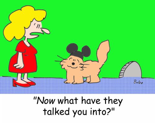 'NOW what have they talked you into?'