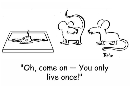 'Oh, come on -- You only live once!'