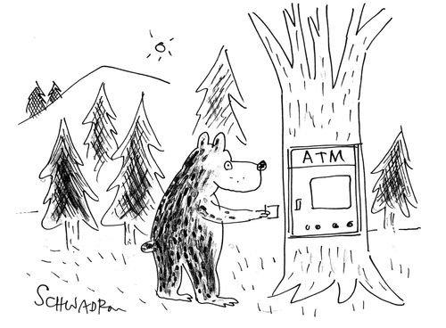 Bear using an ATM machine.