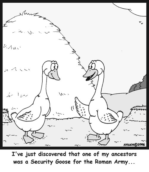 'I've just discovered that one of my ancestors was a Security Goose for the Roman Army...'