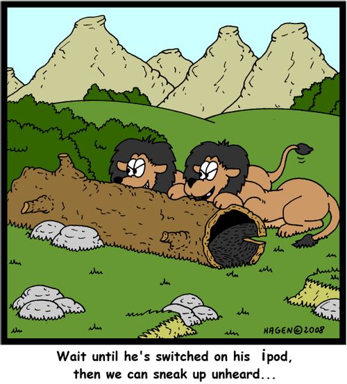 'Wait until he's switched on his ipod, then we can sneak up unheard...'