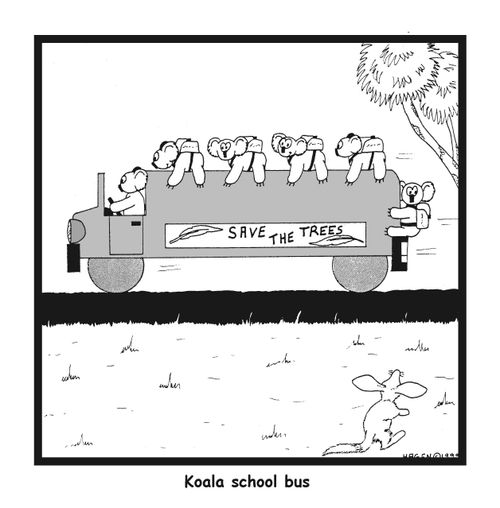 Koala school bus