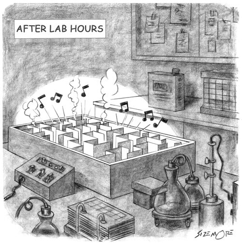 After lab hours - party time.