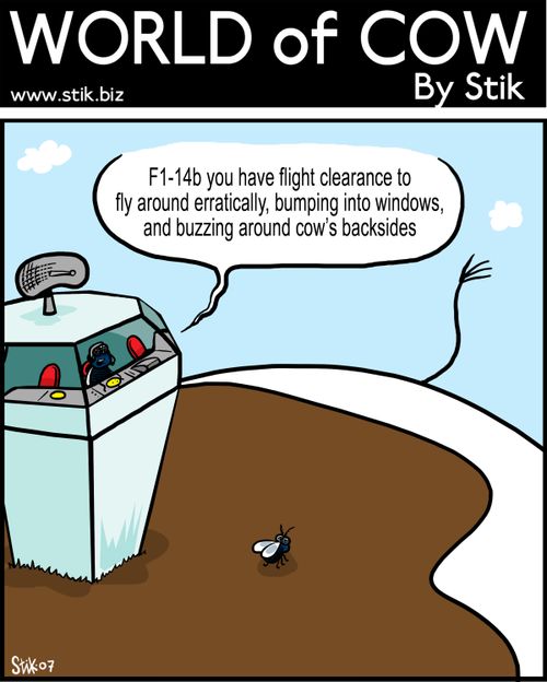 A fly gets clearance from the control tower to: 'Fly around erratically, bumping into windows and buzzing around cow's backsides.'