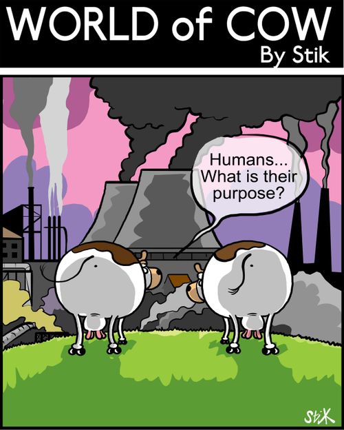 Humans...What is their purpose?