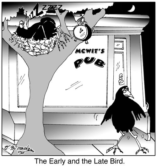 The Early and the Late Bird