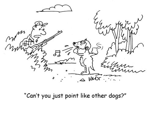 'Can't you just point like other dogs?'