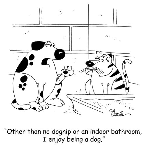 'Other than no dognip or an indoor bathroom, I enjoy being a dog.'