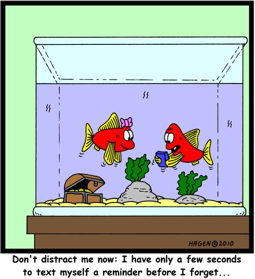 'Don't distract me now: I have only a few seconds to text myself a reminder before I forget...'