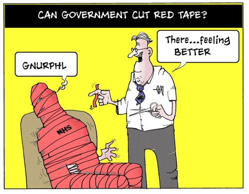 Can Government Cut Red Tape?