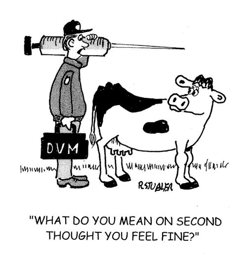 'What do you mean on second thought you feel fine?'
