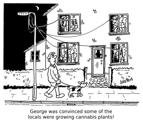George was convinced some of the locals were growing cannabis plants!
