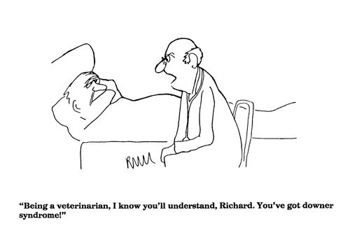 'Being a veterinarian, I know you'll understand, Richard..., you've got downer syndrome.