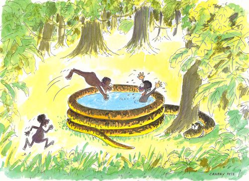 Snake pretending to be a paddling pool.