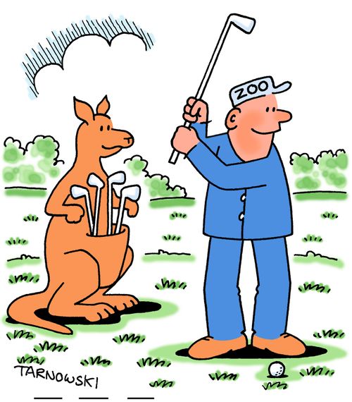 Kangaroo caddie.