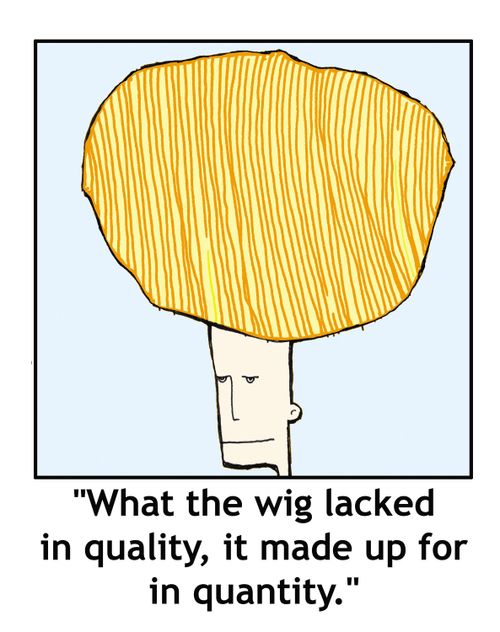 'What the wig lacked in quality, it made up for in quantity.'