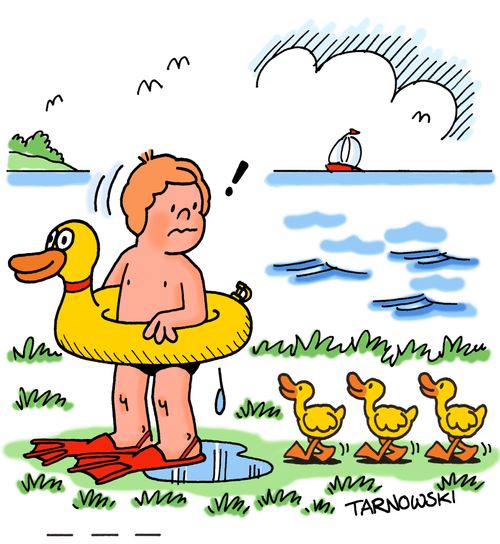 Ducks following a child.