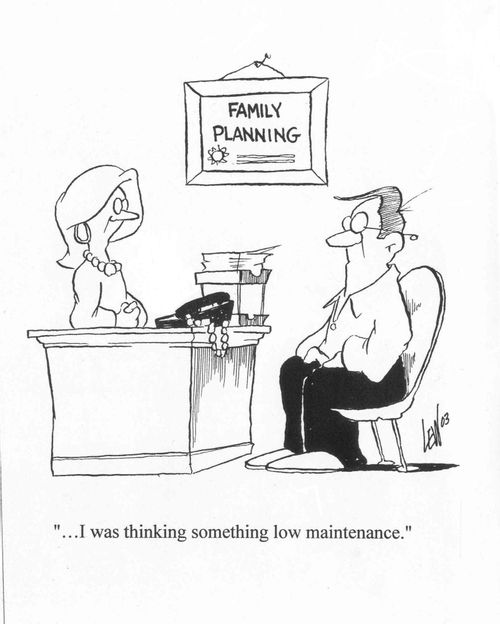 Family planning - 'I was thinking something low maintenance.'