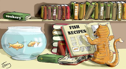 Cat looking up fish recipes.
