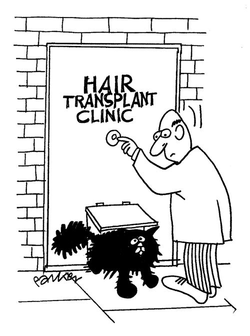 Hair Transplant Clinic