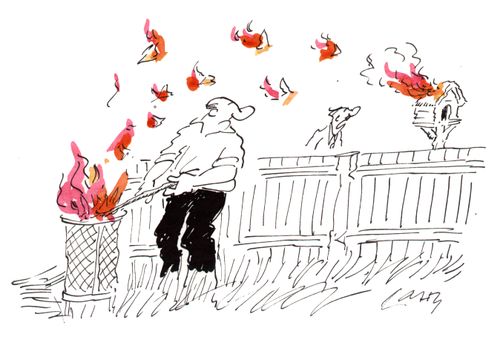 Bird house on fire